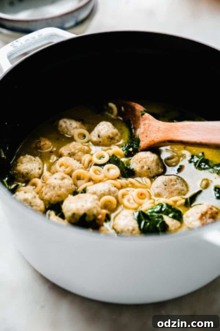 meatball soup in dutch oven with wooden spoon