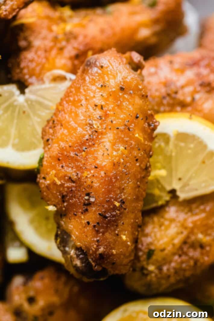 Close-up of a single crispy chicken wing seasoned with fresh lemon zest and black pepper, surrounded by lemon slices, emphasizing vibrant flavor.