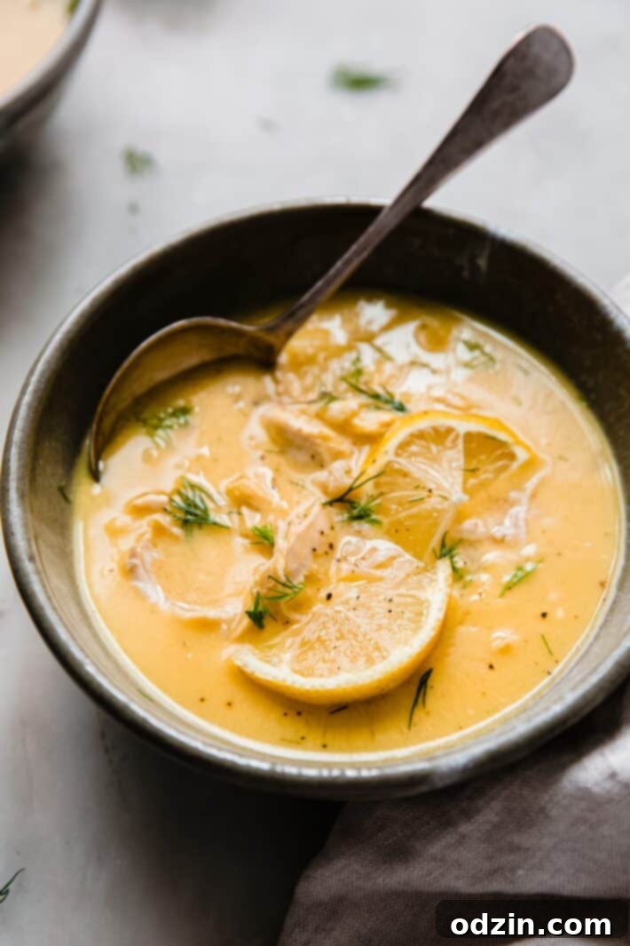 lemon slices on chicken lemon egg soup with fresh dill and soup