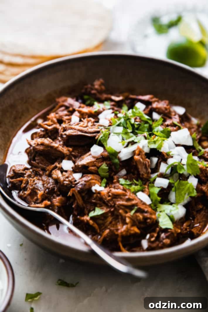 Birria de Res Stovetop and Instant Pot 3 shreded beef in birria sauce