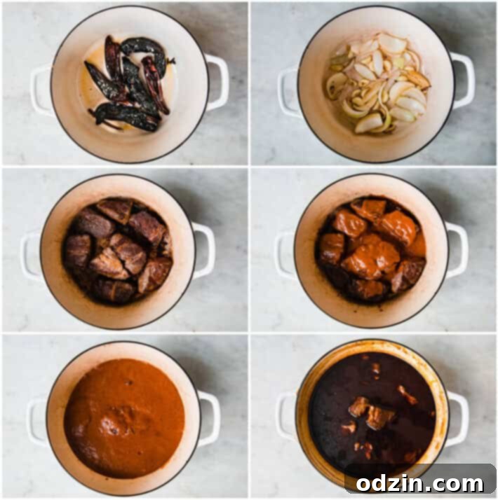 Birria de Res Stovetop and Instant Pot 5 process picture for how to make birria