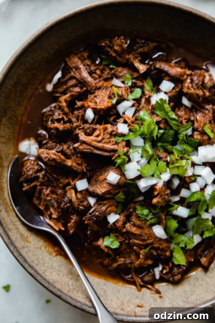 Birria de Res Stovetop and Instant Pot 6 shredded meat stew in bowl with onions and cilantro