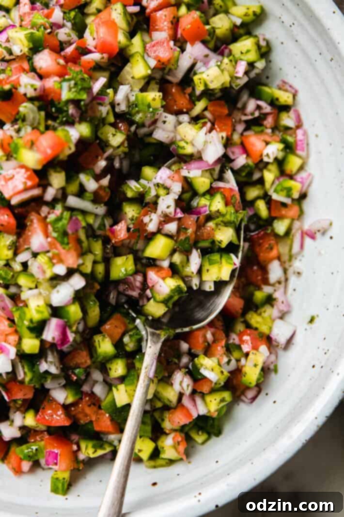 spoon for of salad-e Shirazi 