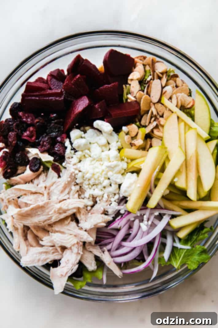 Vibrant Beet Salad with Zesty Citrus Vinaigrette 5 Various colorful ingredients for beet salad laid out in a large white bowl, including greens, beets, and other toppings