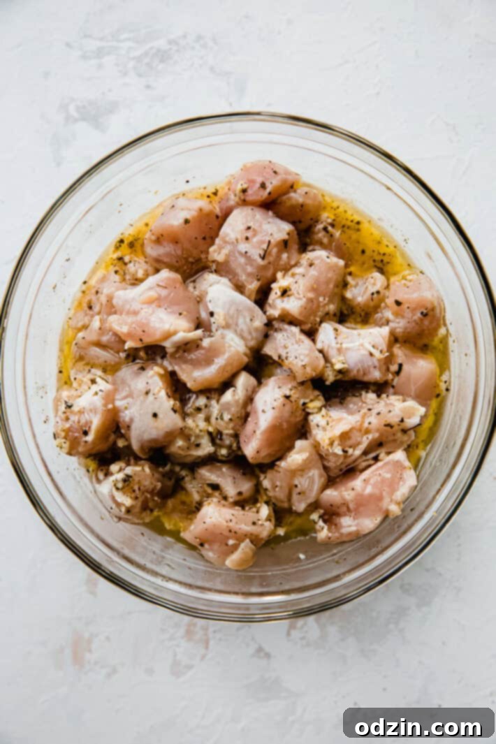 Zesty Greek Chicken Souvlaki Skewers 4 marinated chicken pieces