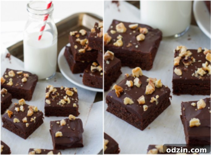 Homemade Fudgy Brownie Batter - A simple one-bowl recipe for dense, delicious chocolate brownies. Rich chocolate brownie batter mixed smoothly in a single bowl with a whisk, showcasing the ease of the one-bowl recipe.