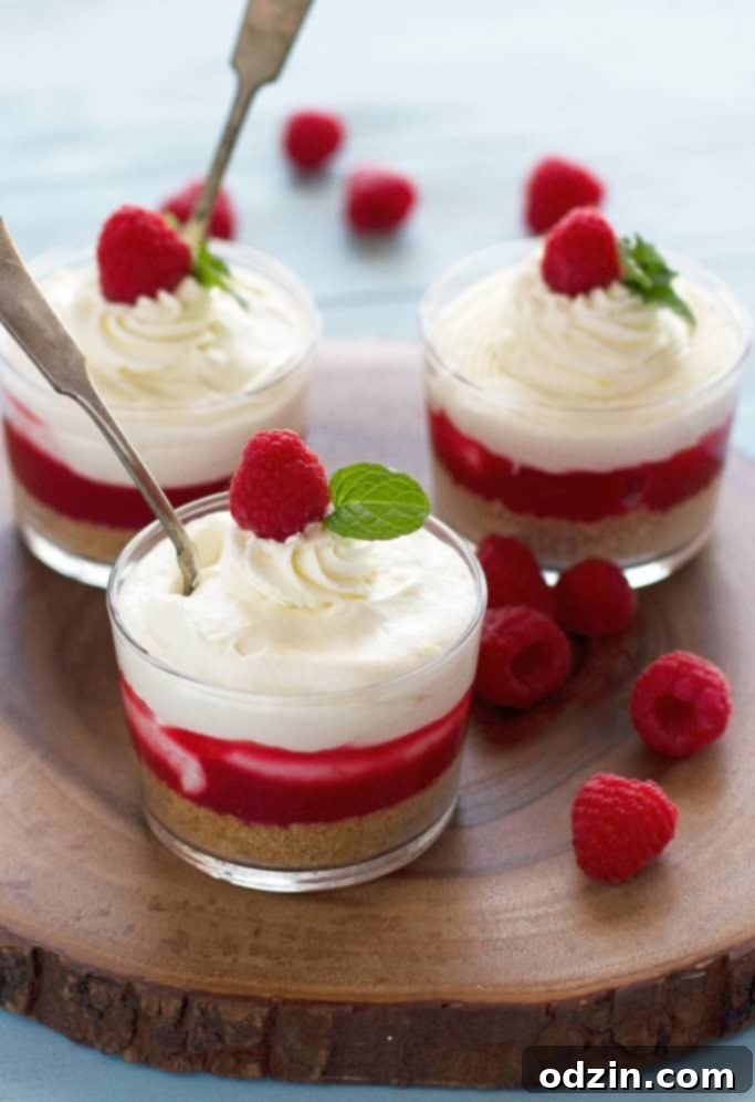 No-Bake Cheesecake with Raspberry Sauce