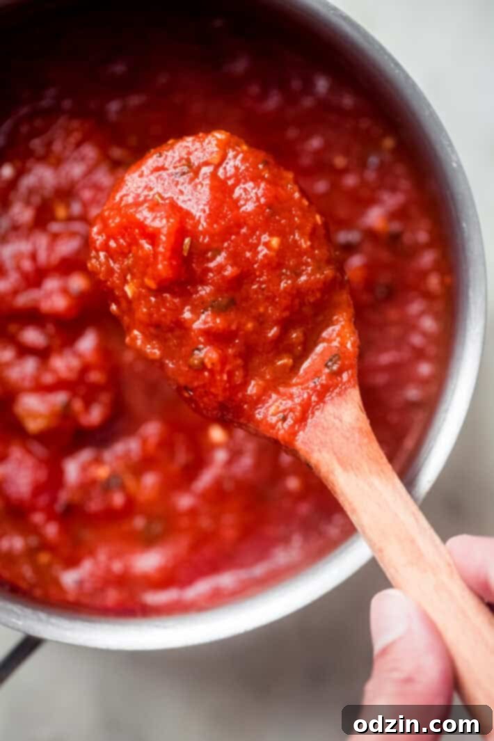 Freshly Made Pizza Sauce on a Spoon close up of freshly made pizza sauce on a spoon