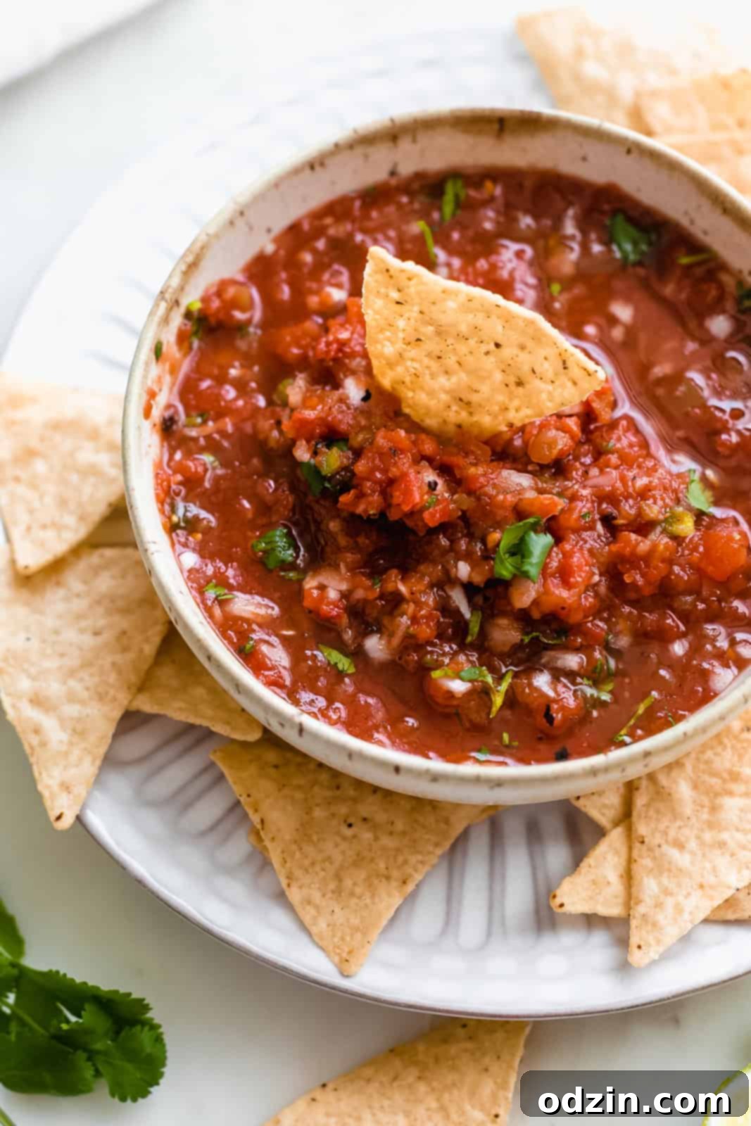 scattered tortilla chips on plate with a bowl of chunky salsa