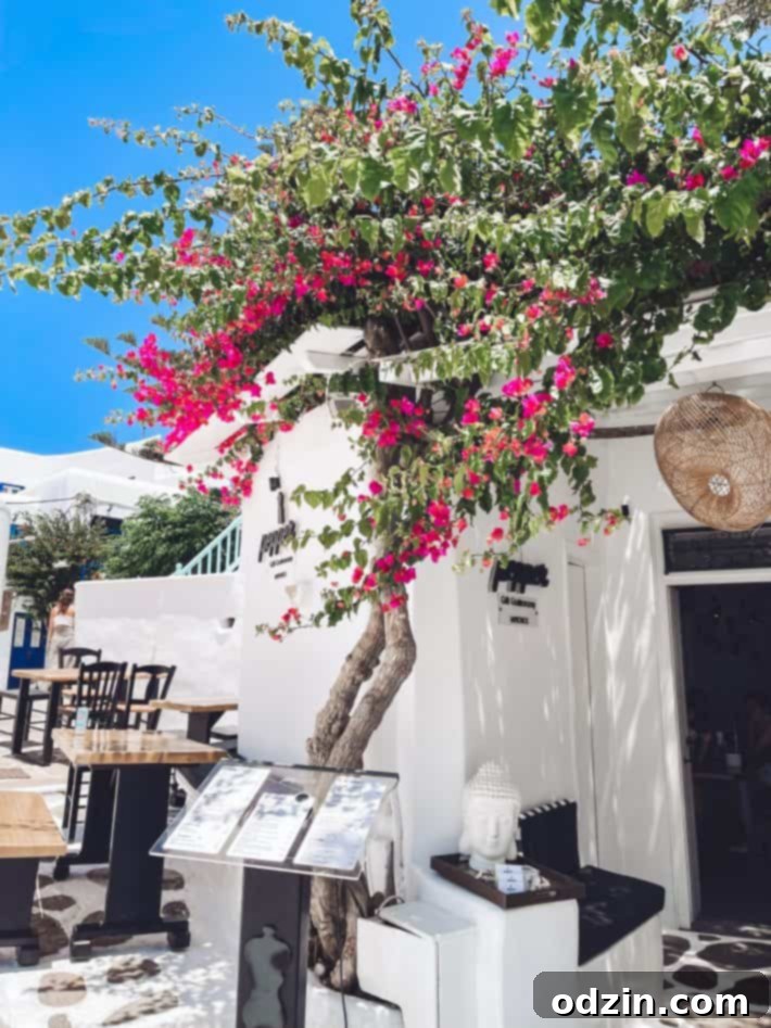 Delicious Pepper Souvlaki served in Mykonos