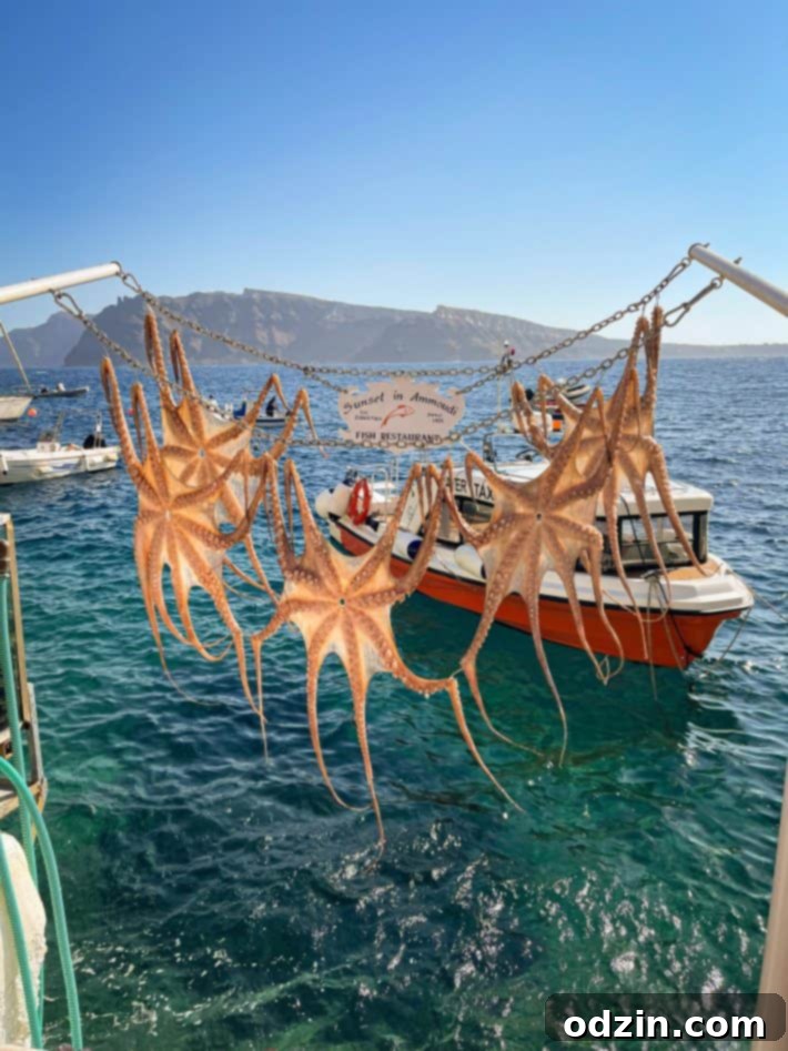 sunset ammoudi octopuses hanging 