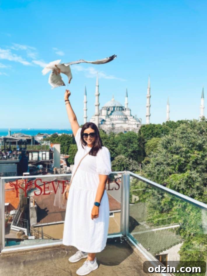 feeding the seagulls at Seven Hills Restaurant rooftop