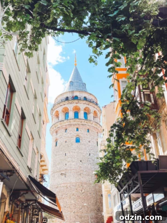interior of a mosque, possibly Blue Mosque