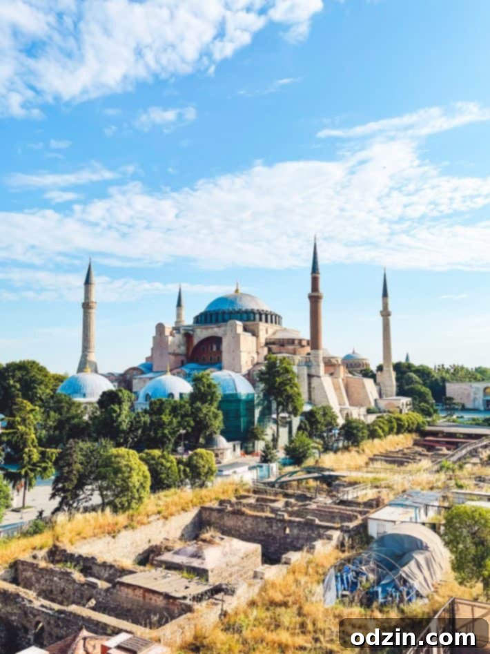 Istanbul cityscape at dusk with mosques and historical buildings