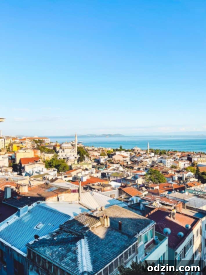 Istanbul street view with tram and buildings
