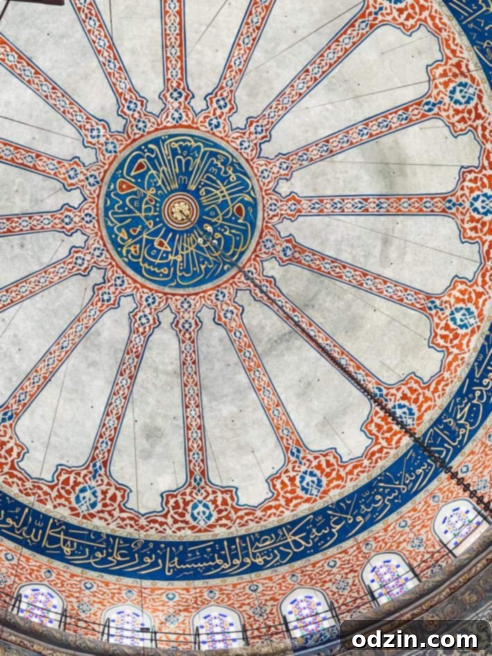 view of Istanbul's cityscape with the Bosphorus Strait