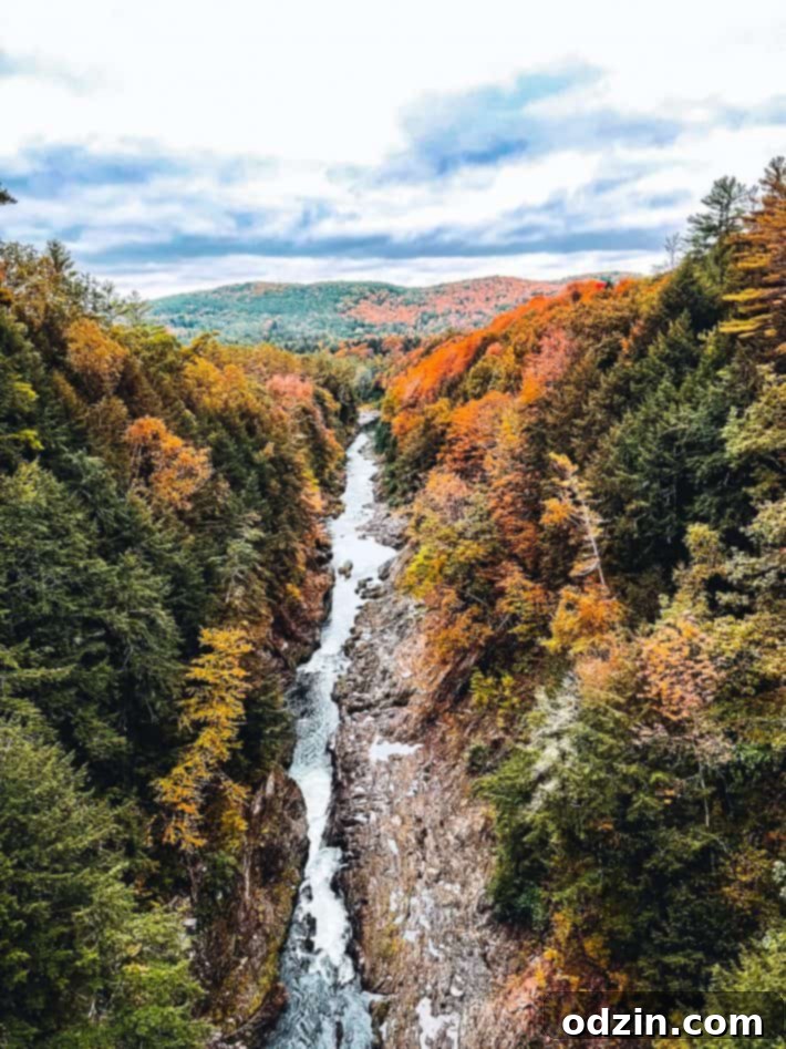 Quechee Gorge overlook from the street, vibrant autumn colors