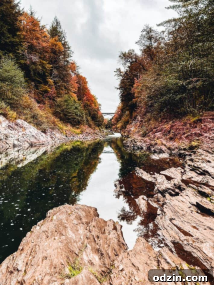 Quechee Gorge bridge in the distance, framed by fall trees