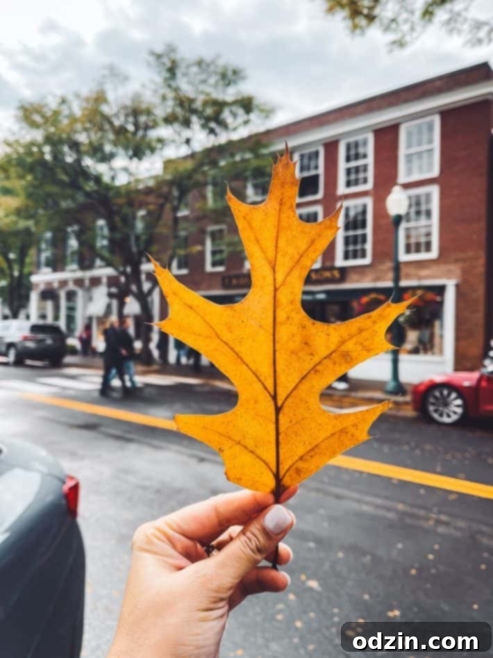 Yellow leaf outside FH Gillingham & Sons General Store