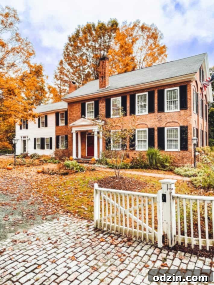 Yellow leaves in front of a traditional house in Woodstock, Vermont
