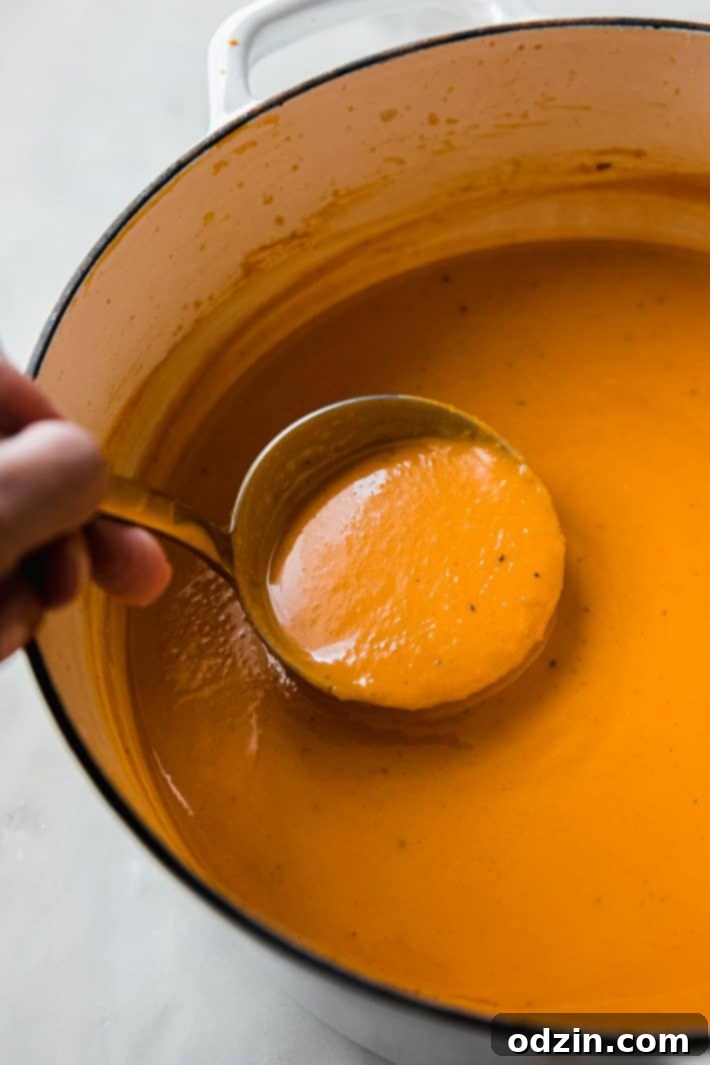 soup filled in ladle from dutch oven