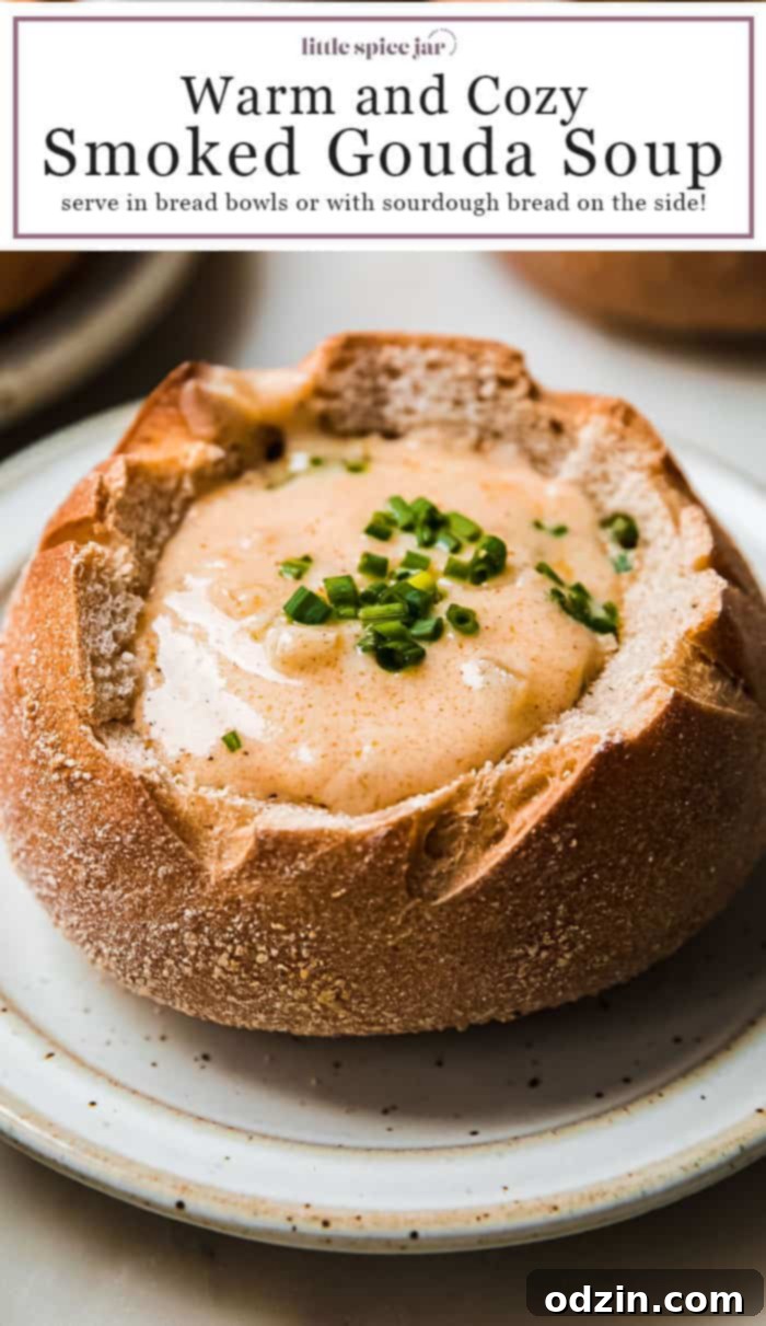 Pin this Cozy Smoked Gouda Soup recipe for later!