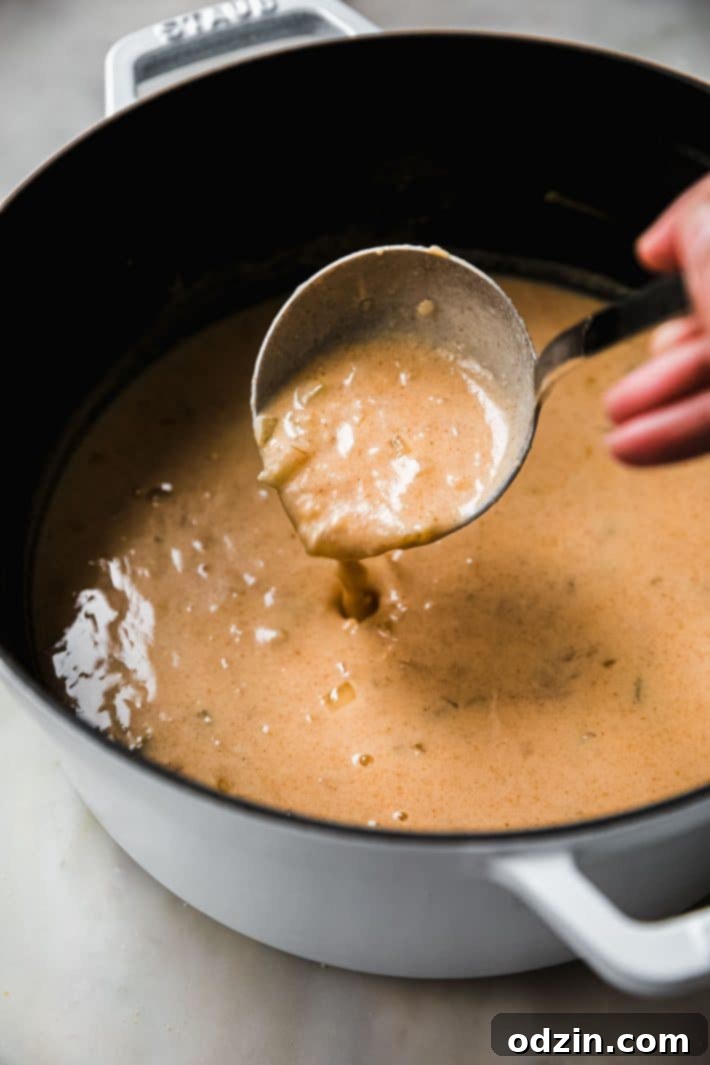 soup on ladle from pot, showing the rich, thick texture of the gouda soup