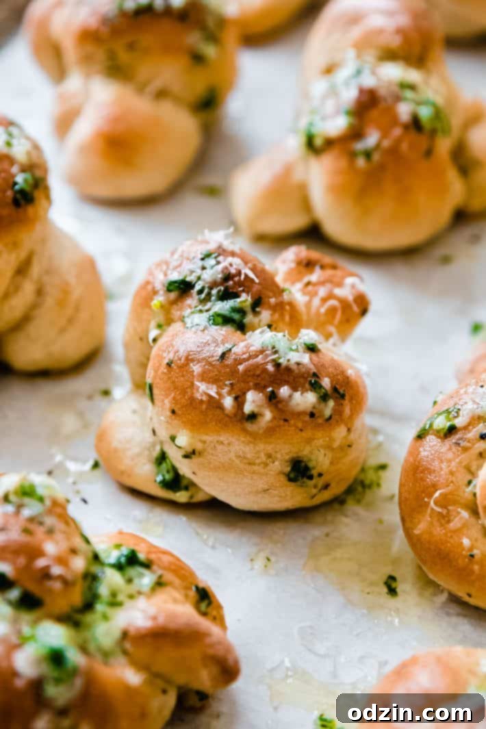 Garlic butter brushed knots with parsley and parmesan