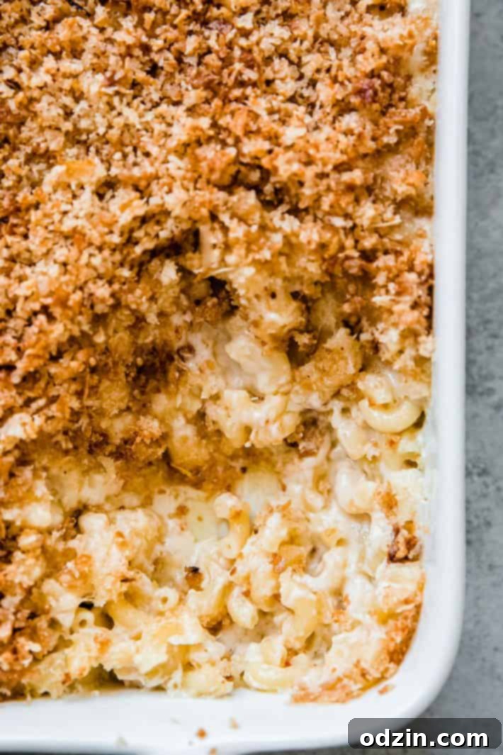 macaroni showing in cheese sauce with panko on top