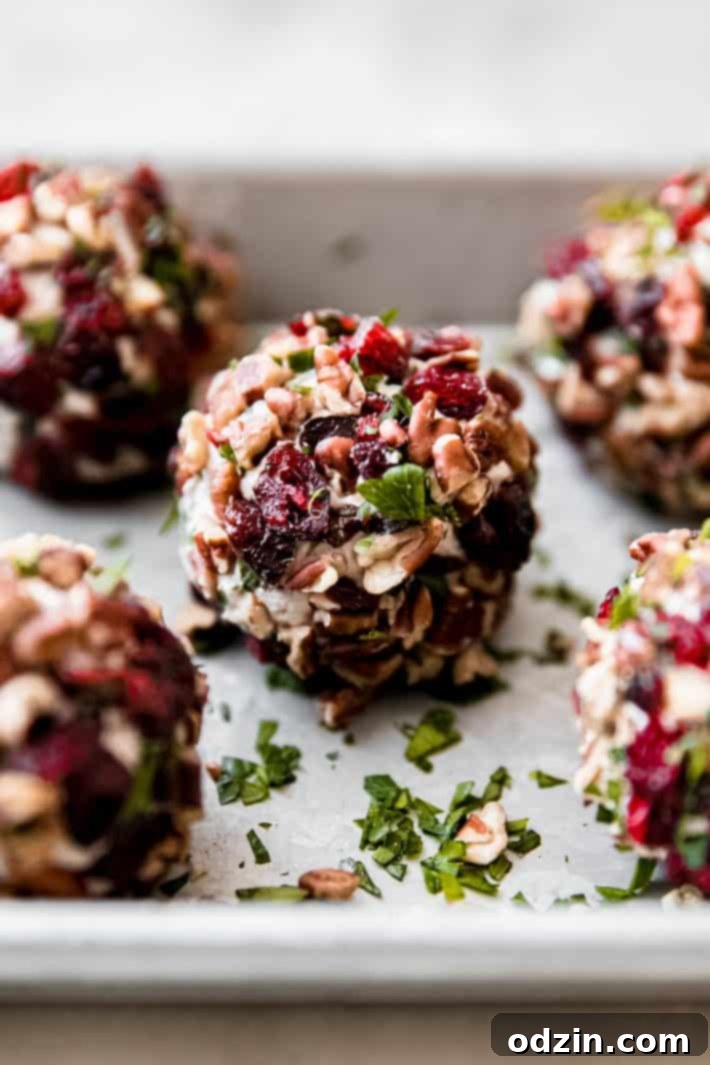 rolled balls with cranberries, pecans, and parsley crust