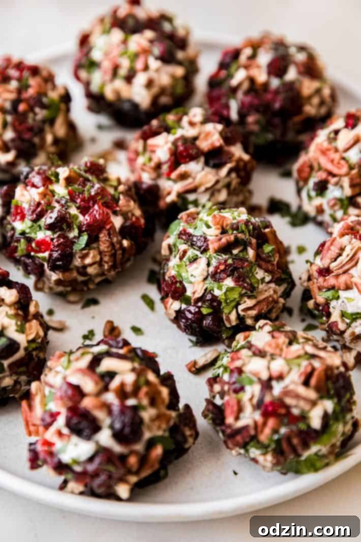 cheese balls with cranberries on plate