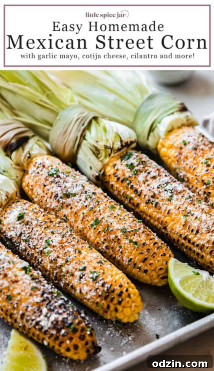 Mexican Street Corn (Elotes) recipe finished and ready to enjoy.
