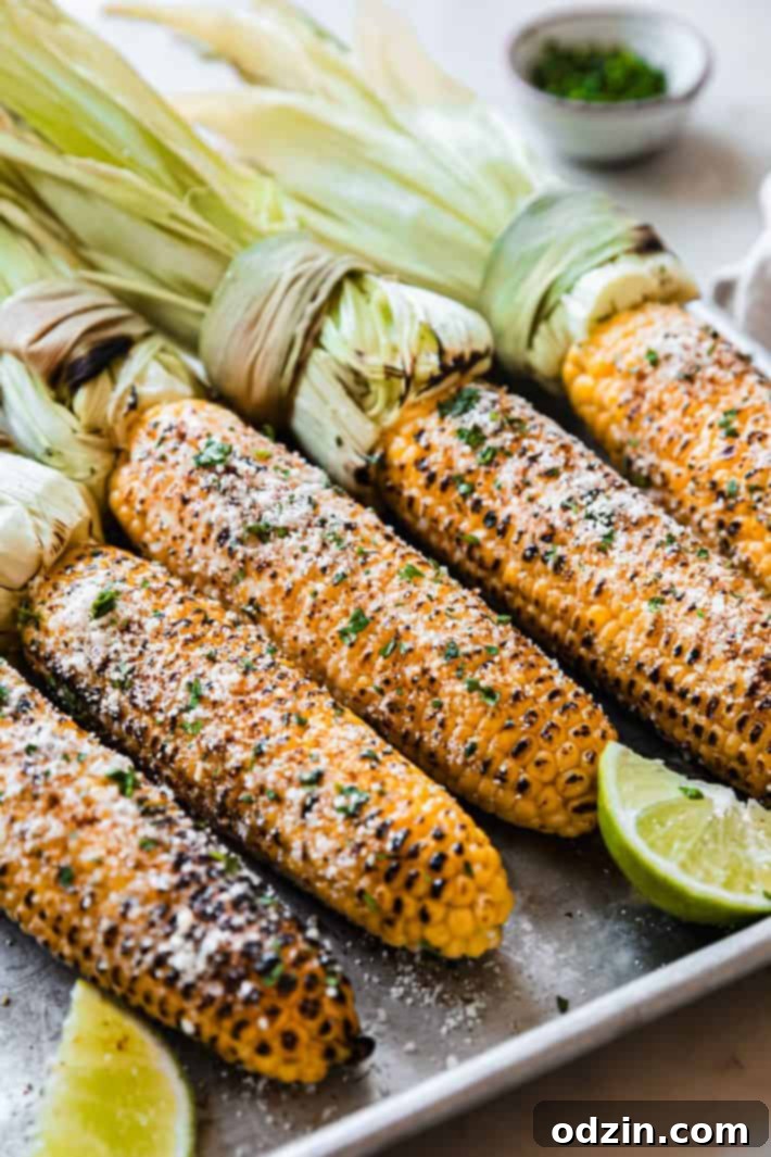 Mexican Street Corn - perfect to serve at barbecues and on Cinco de Mayo! Tender corn with garlic mayo, lime juice, cotija cheese, and cilantro! #cornonthecob #mexicanstreetcorn #cincodemayo | Littlespicejar.com Prepared Elotes on a plate, garnished with cotija cheese, cilantro, and chili powder.