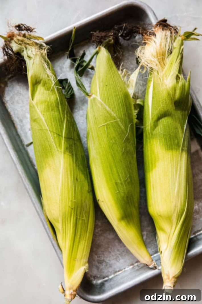 Mexican Street Corn - perfect to serve at barbecues and on Cinco de Mayo! Tender corn with garlic mayo, lime juice, cotija cheese, and cilantro! #cornonthecob #mexicanstreetcorn #cincodemayo | Littlespicejar.com Fresh corn on the cob baking on a sheet pan with husks on, ready for oven roasting.