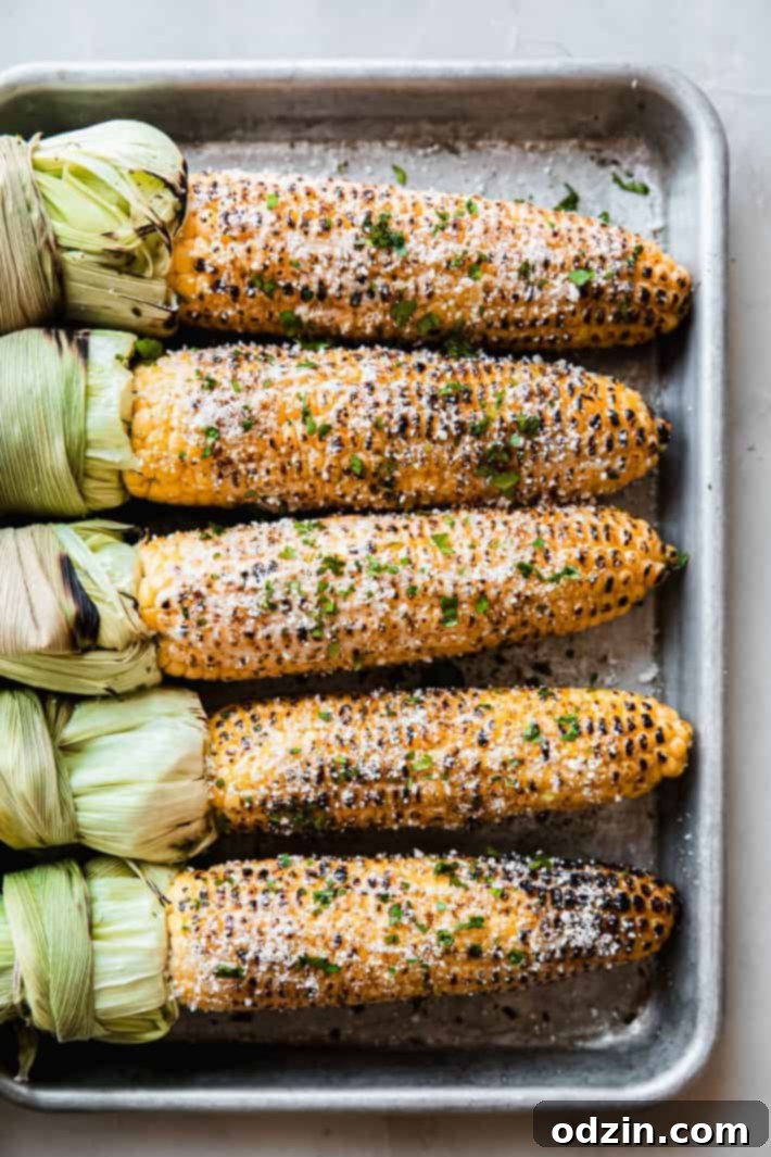Mexican Elotes 2 Several ears of prepared Elotes on a sheet pan, ready to be served.