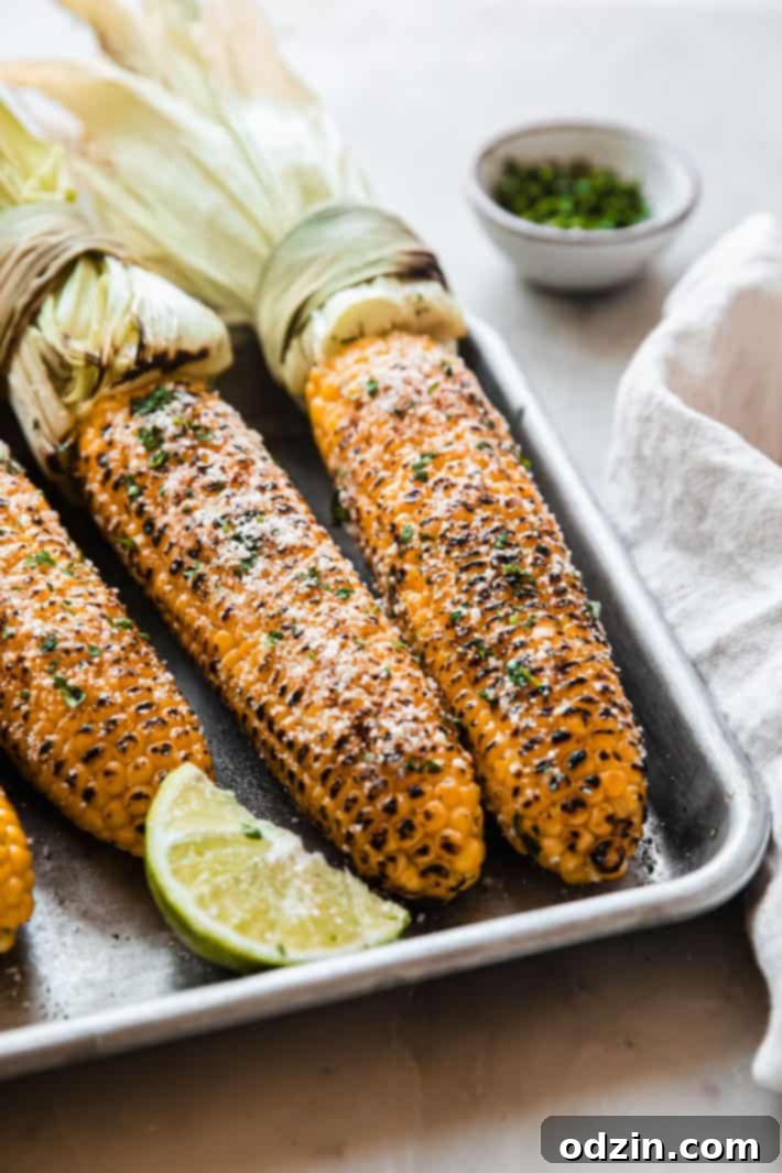 Mexican Elotes 3 Close-up of Mexican street corn on the cob, generously topped with cotija cheese, cilantro, and garlic mayo.
