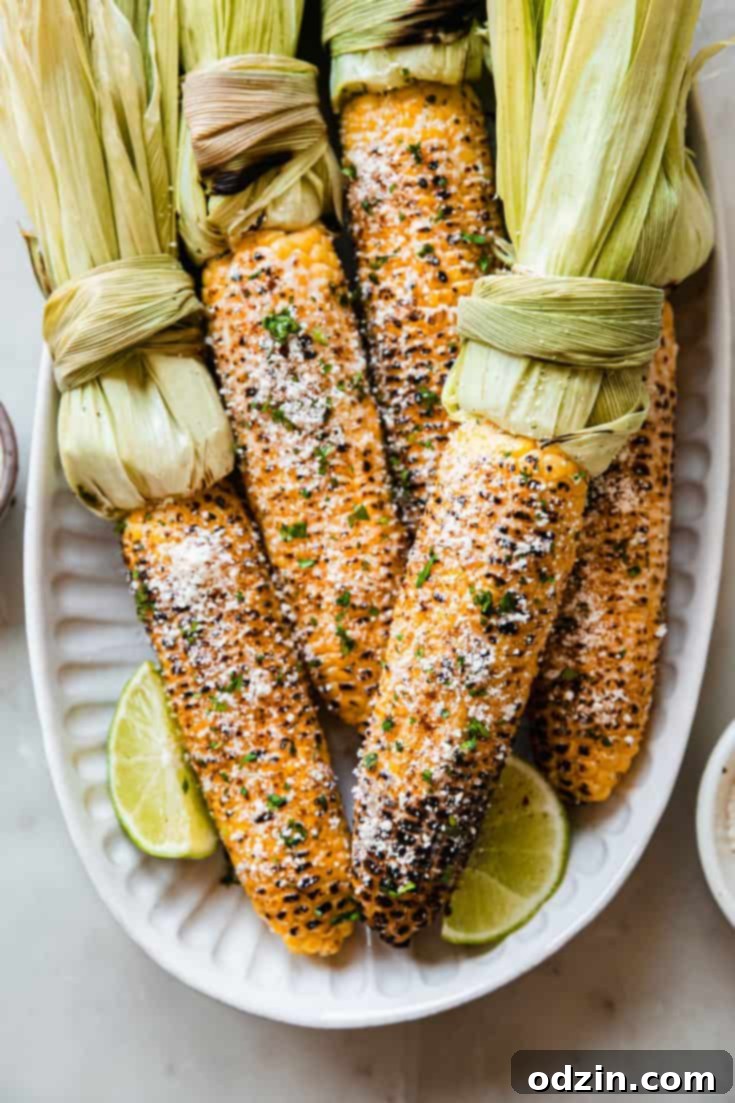 Mexican Street Corn (Elotes) with garlic mayo, cotija cheese, cilantro, and chili powder.