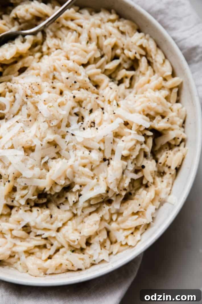 prepared orzo risotto in speckled bowl