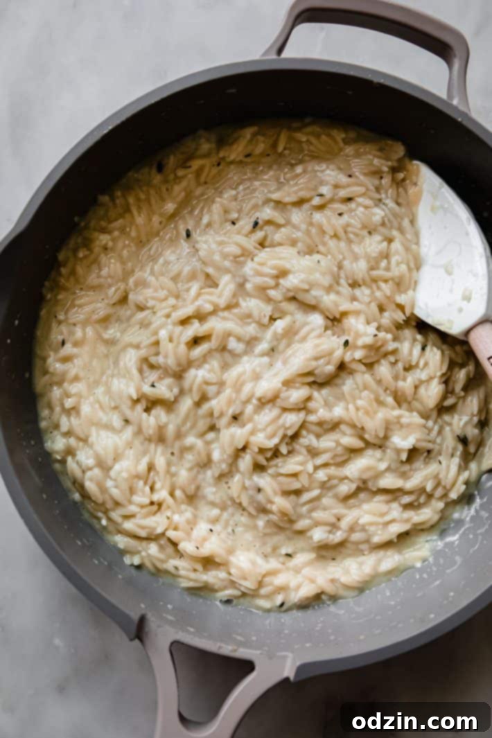 risotto topped with white truffle oil