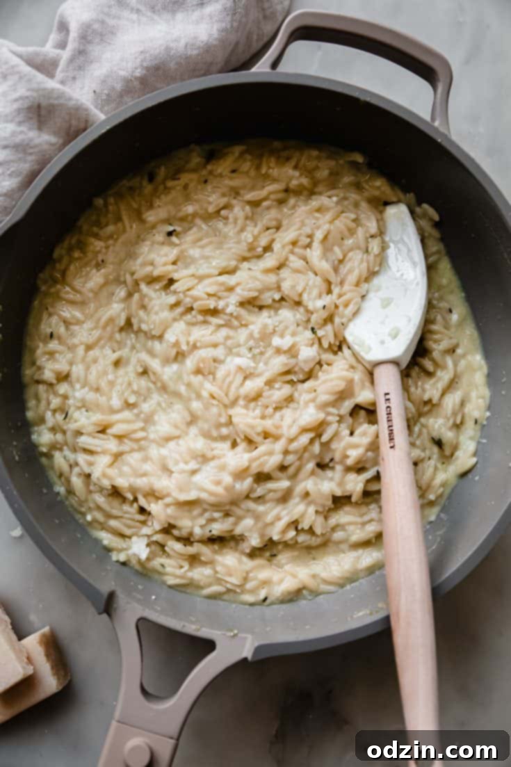 Garlic Parmesan Orzo Risotto