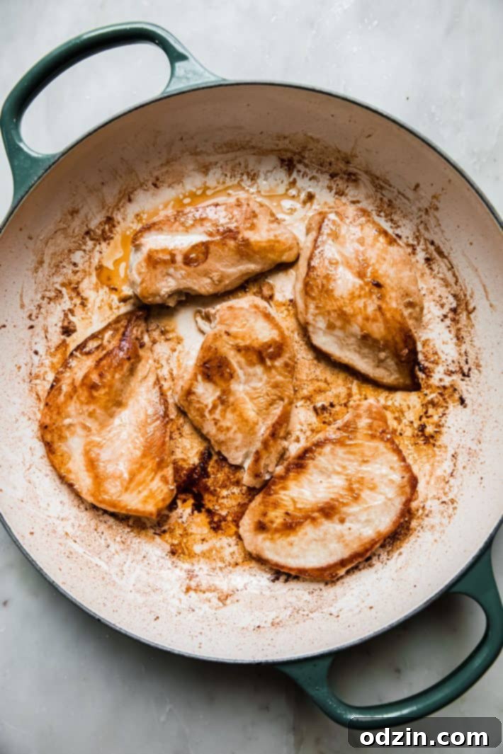 The Ultimate Marry Me Chicken Recipe 4 Perfectly pan-seared chicken breasts in a hot skillet, ready for the creamy Marry Me Chicken sauce.