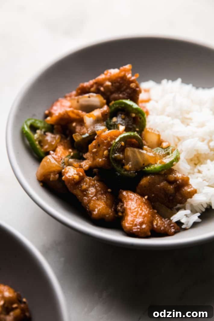 garlic jalapeño and chicken in brown sauce with rice in bowl