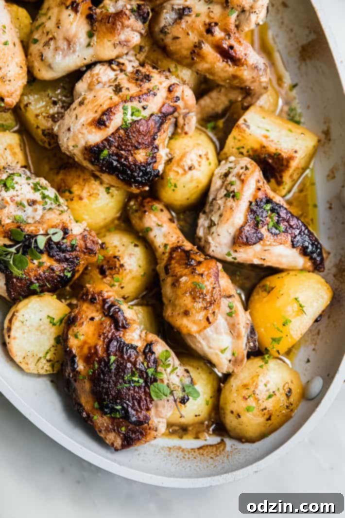 greek chicken and potatoes in pan topped with oregano