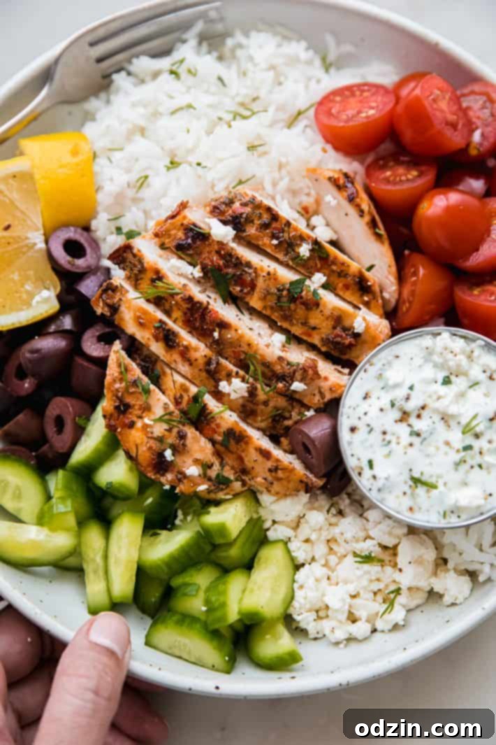 close up of marinated chicken over rice with sides