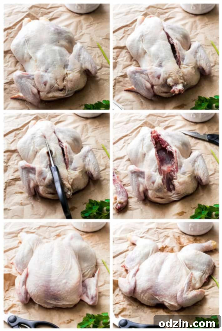 Detailed step-by-step guide on how to spatchcock a whole chicken, showing the backbone removal process