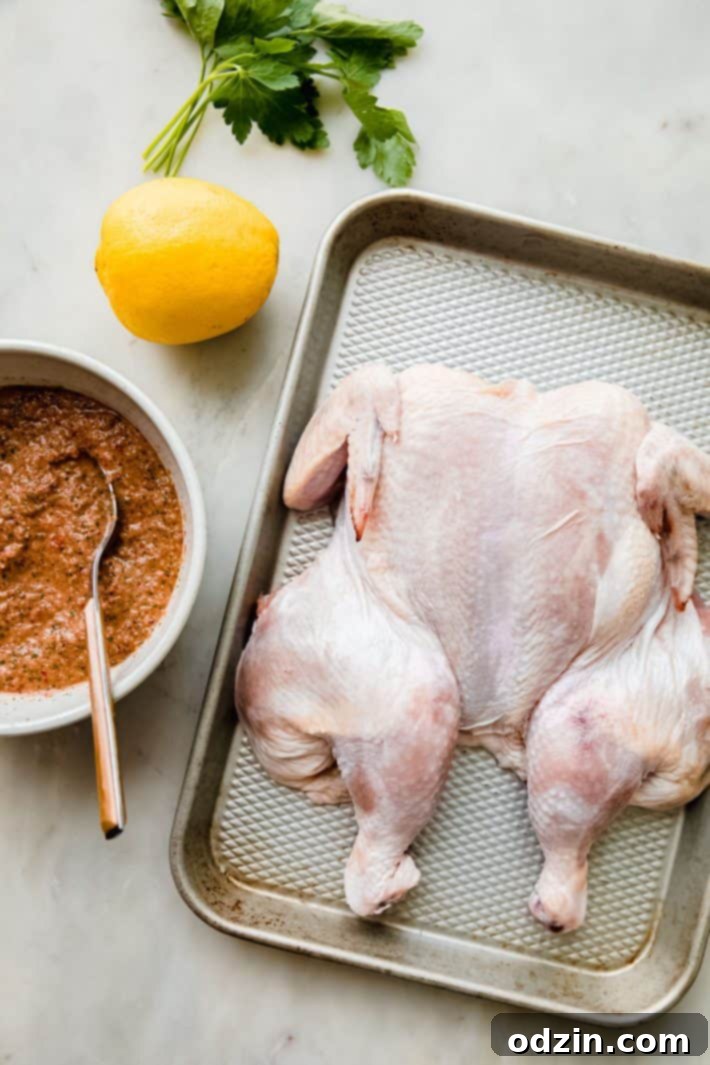 A spatchcocked chicken generously coated with peri peri sauce, resting in a baking tray next to a bowl of extra marinade