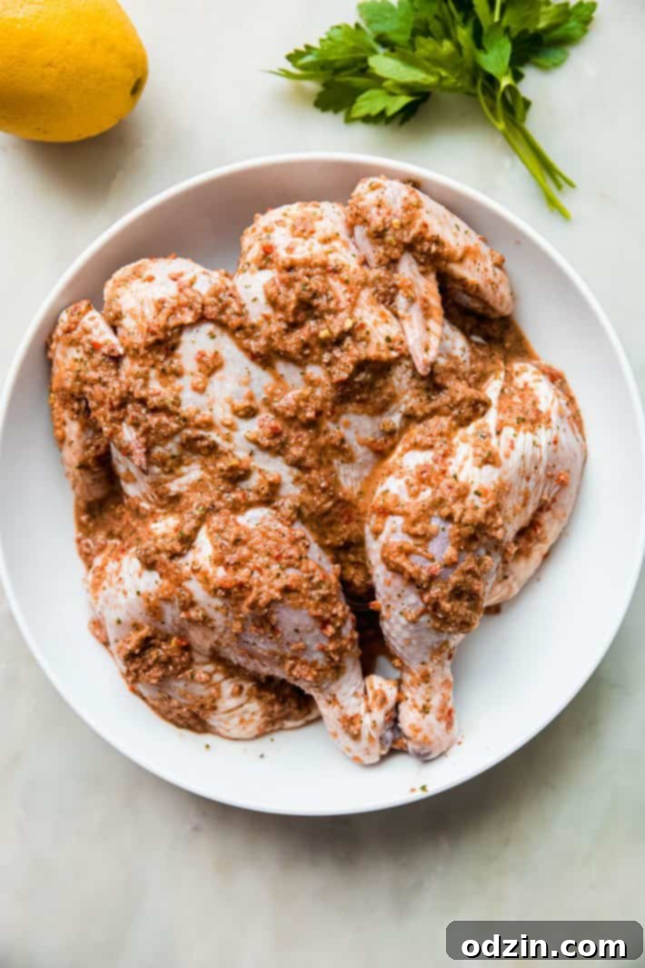 A close-up of beautifully marinated chicken on a plate, ready for cooking