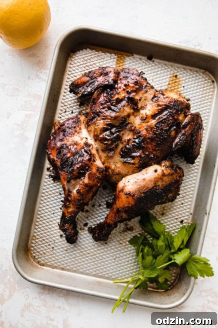 Grilled piri piri chicken, perfectly cooked with crispy skin and char marks, presented on a baking sheet