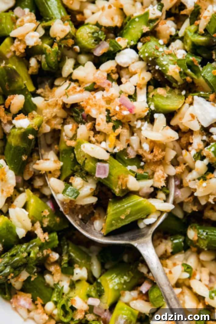 Close up of a bowl of asparagus orzo salad, showcasing the texture of orzo, vibrant asparagus, and the zesty lemon shallot dressing, with crunchy panko breadcrumbs visible.