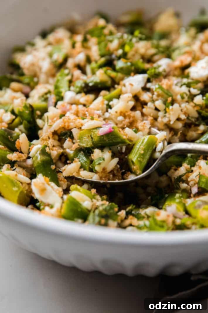 A spoonful of lemon asparagus orzo salad, highlighting the pasta, asparagus, feta, and breadcrumbs